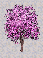 Cheerytree.PNG